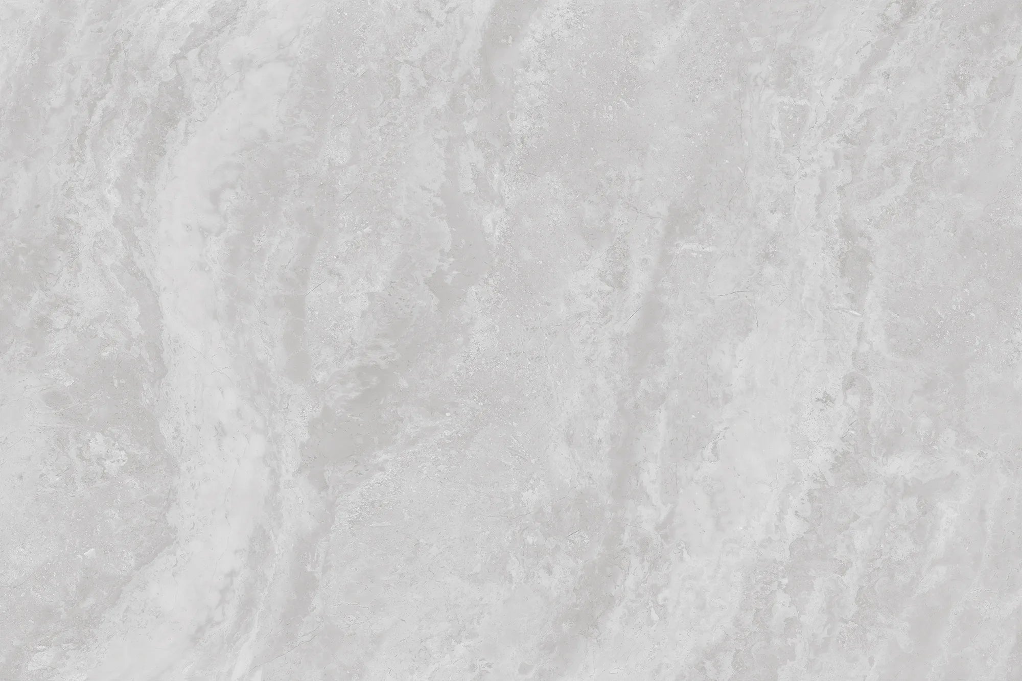 CS1006195