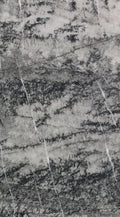 CS1006238