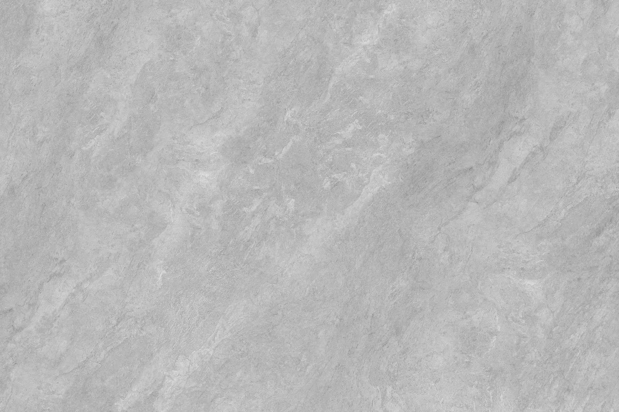 CS1006270