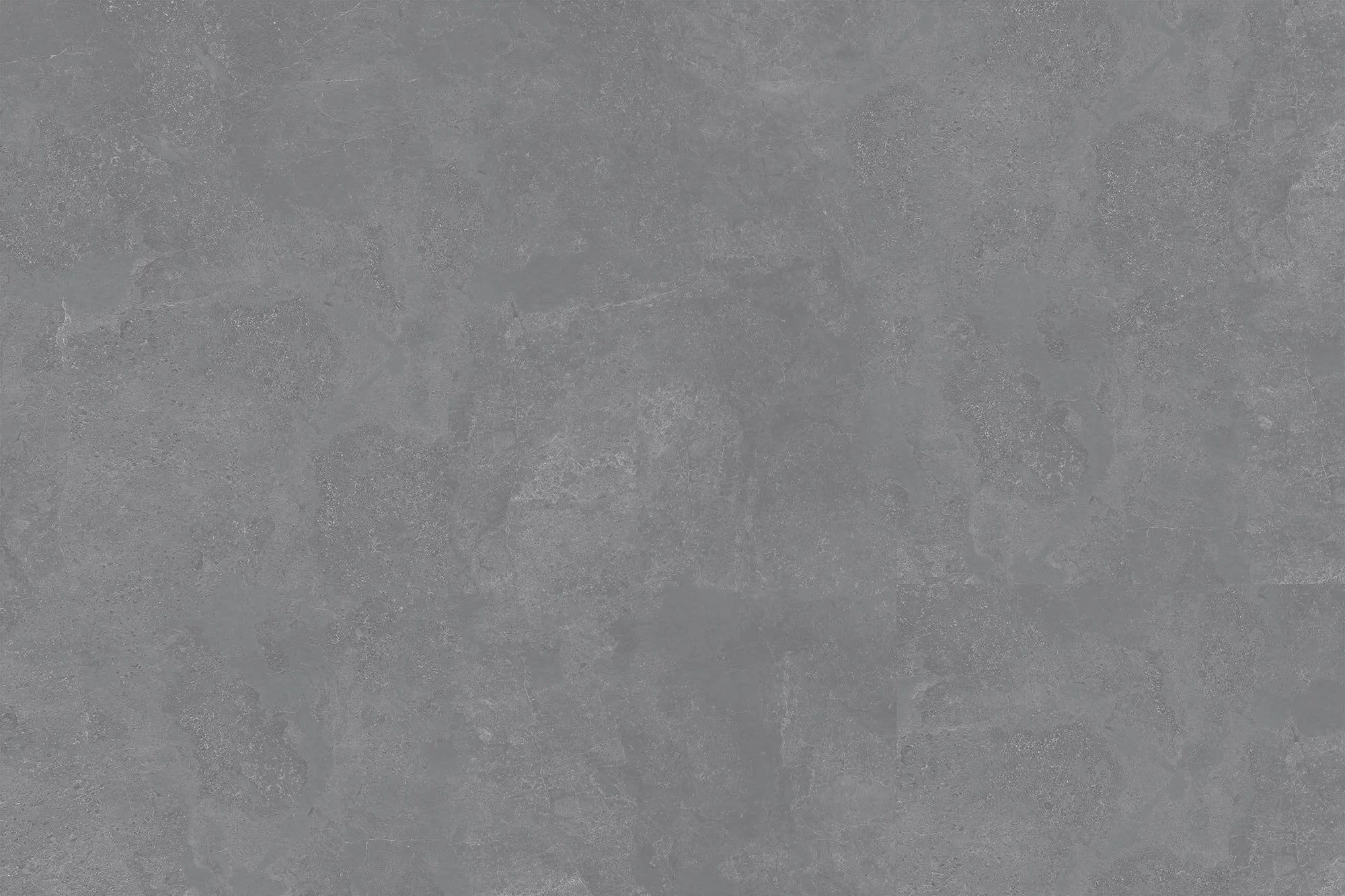 CS1006278