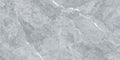 CS1006314