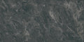 CS1006317