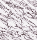 CS1006330