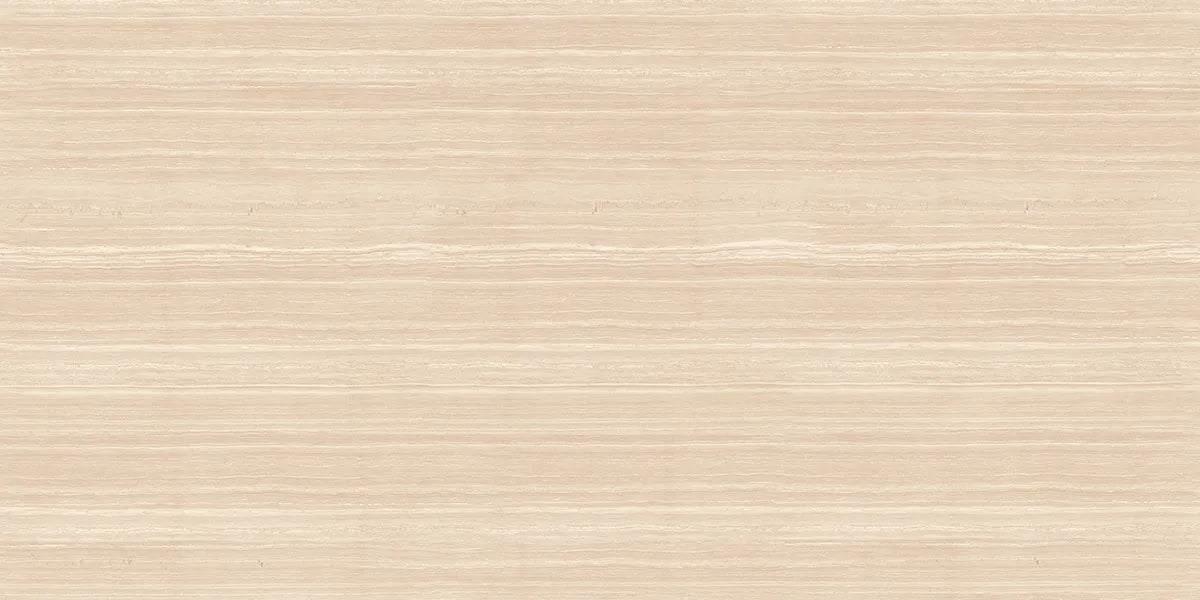 CS1006354