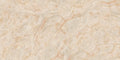 CS1006363