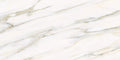 CS1006365