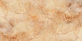 CS1006395