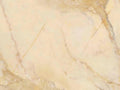 CS1006408