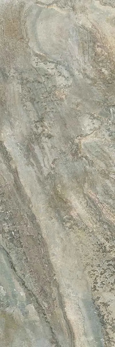 CS1006421