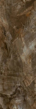 CS1006425