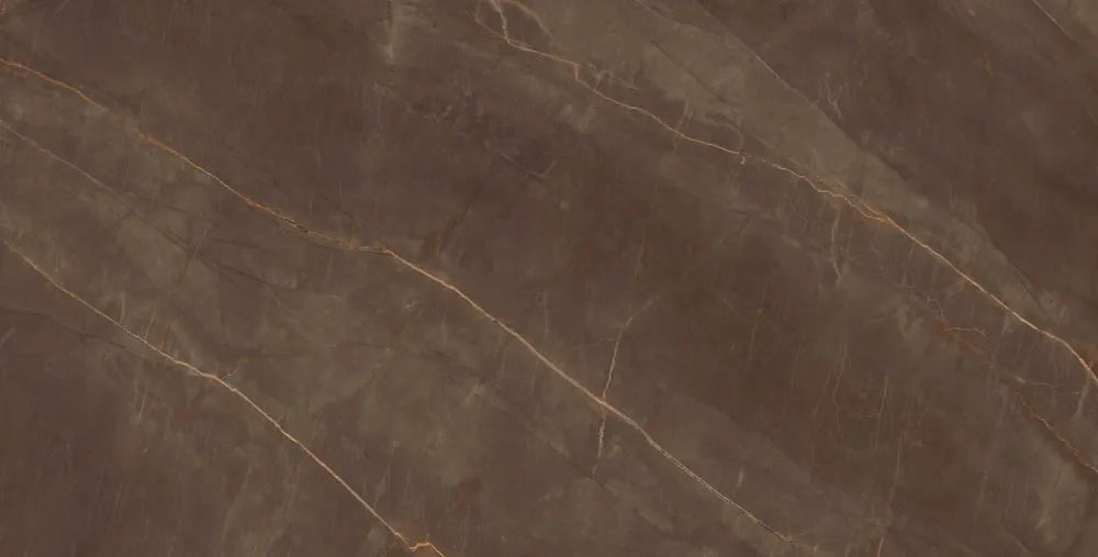 CS1006459