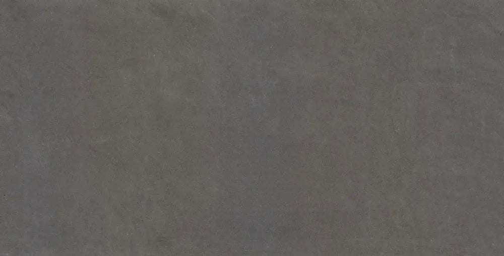 CS1006551