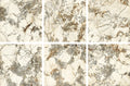 CS1006564