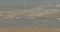CS1006588