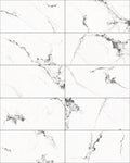 CS1006621