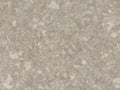 CS1006643