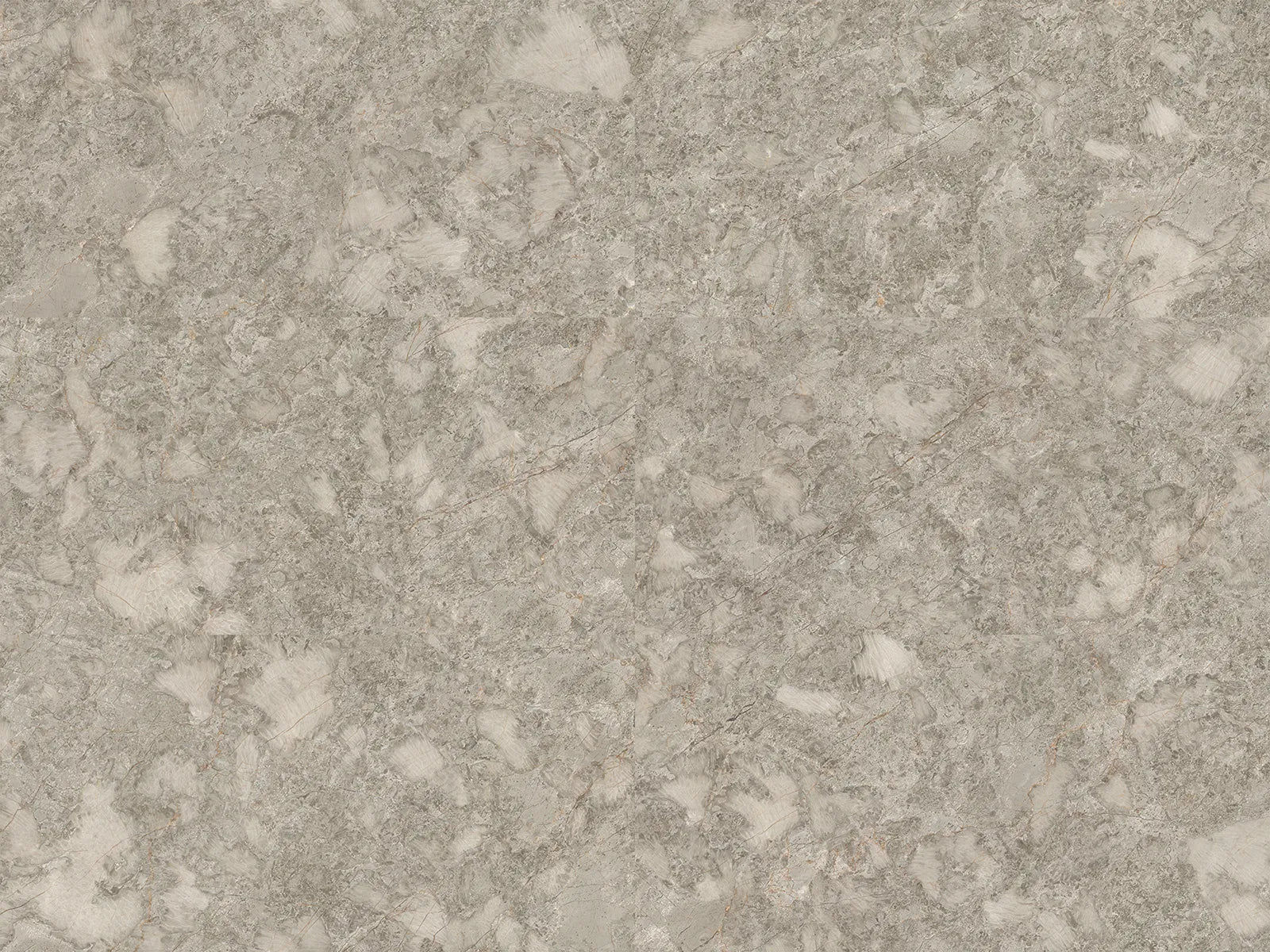 CS1006643