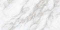 CS1006666
