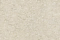 CS1006707