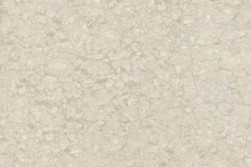 CS1006707