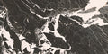 CS1006857