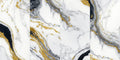 CS1006858