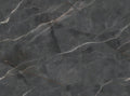 CS1006933